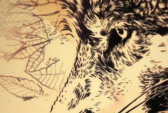 Vega Wolverines By Caravan