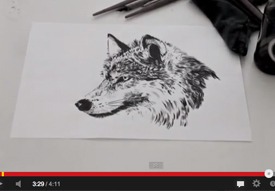 Vega wolverines video